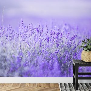 Papier Peint Forêt Dans Le Brouillard – Image 7