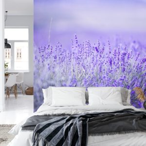 Papier Peint Forêt Dans Le Brouillard – Image 8