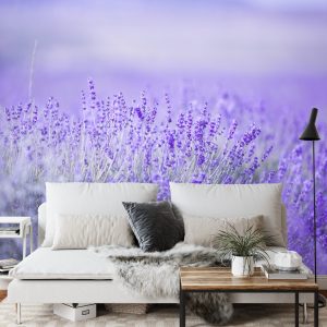 Papier Peint Forêt Dans Le Brouillard – Image 3