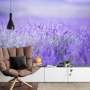 Papier Peint Forêt Dans Le Brouillard – Image 4