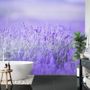 Papier Peint Forêt Dans Le Brouillard – Image 5