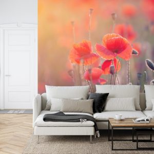 Papier Peint Champ De Coquelicots – Image 6