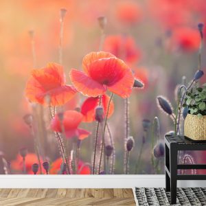 Papier Peint Champ De Coquelicots – Image 7