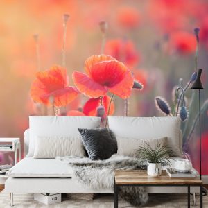 Papier Peint Champ De Coquelicots – Image 3