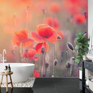 Papier Peint Champ De Coquelicots – Image 5