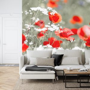 Papier Peint Coquelicots Rouges Sauvages – Image 6