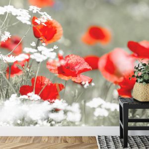 Papier Peint Coquelicots Rouges Sauvages – Image 7