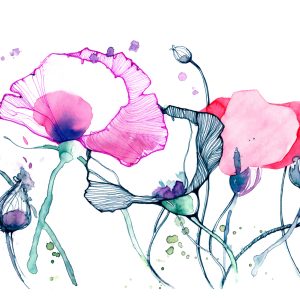 Papier Peint Coquelicots Colorés – Image 1