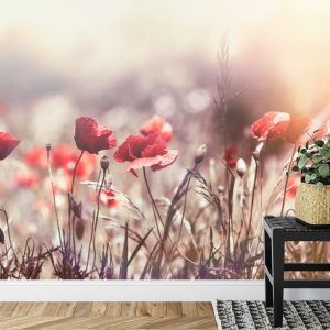 Papier Peint Fleurs De Coquelicots – Image 7