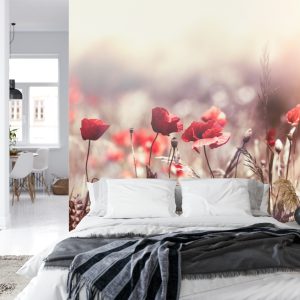 Papier Peint Fleurs De Coquelicots – Image 8