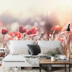 Papier Peint Fleurs De Coquelicots – Image 3