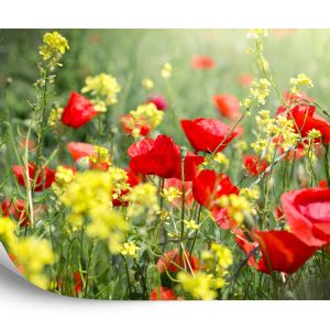 Papier Peint Prairie De Coquelicots – Image 2