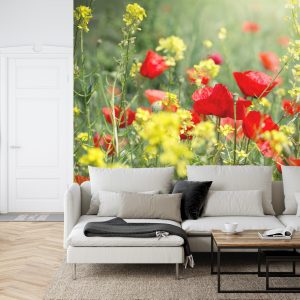 Papier Peint Prairie De Coquelicots – Image 6