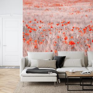 Papier Peint Champ De Coquelicots – Image 6