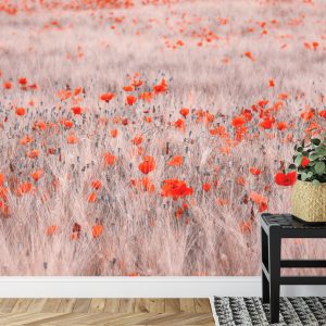 Papier Peint Champ De Coquelicots – Image 7