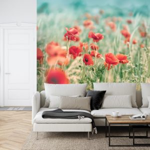 Papier Peint Coquelicots Sauvages Sur La Prairie – Image 6