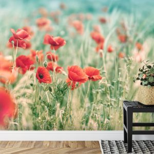 Papier Peint Coquelicots Sauvages Sur La Prairie – Image 7