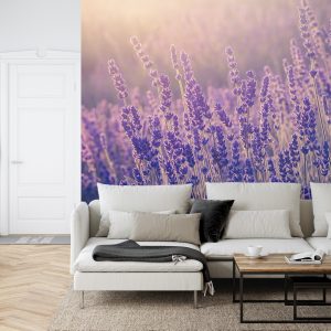 Papier Peint Forêt Dans Le Brouillard – Image 6