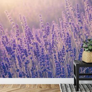 Papier Peint Forêt Dans Le Brouillard – Image 7