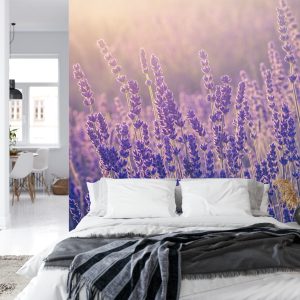 Papier Peint Forêt Dans Le Brouillard – Image 8