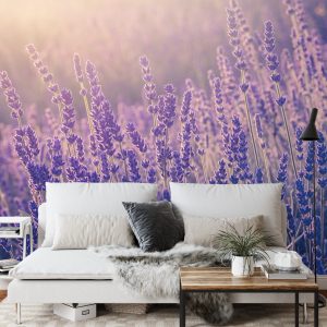 Papier Peint Forêt Dans Le Brouillard – Image 3