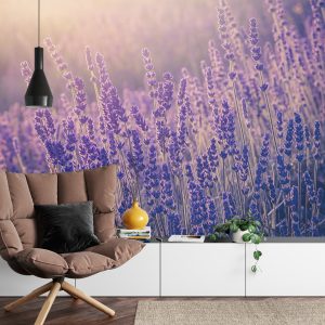 Papier Peint Forêt Dans Le Brouillard – Image 4