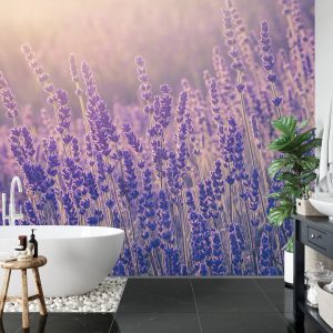 Papier Peint Forêt Dans Le Brouillard – Image 5