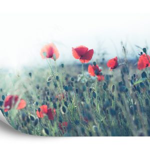 Papier Peint Champ De Coquelicots – Image 2