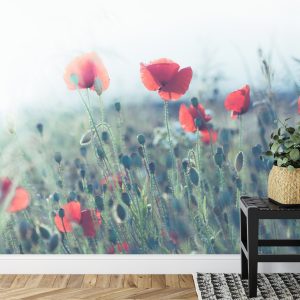 Papier Peint Champ De Coquelicots – Image 7