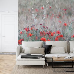 Papier Peint Champ De Coquelicots – Image 6