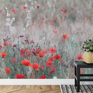 Papier Peint Champ De Coquelicots – Image 7