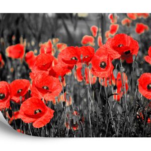 Papier Peint Fleurs De Coquelicots – Image 2