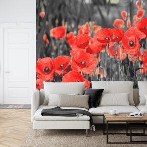 Papier Peint Fleurs De Coquelicots – Image 6