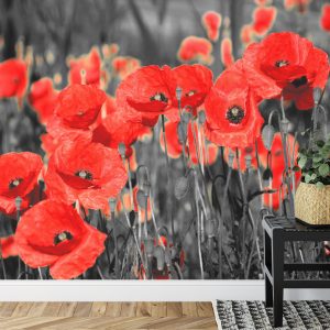 Papier Peint Fleurs De Coquelicots – Image 7