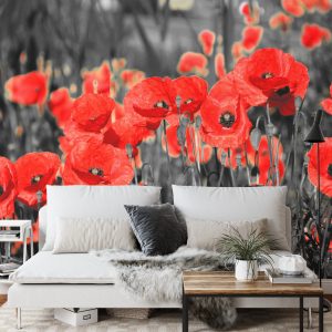 Papier Peint Fleurs De Coquelicots – Image 3