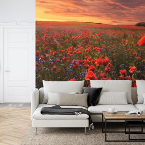 Papier Peint Champ De Coquelicots – Image 6