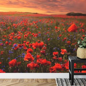 Papier Peint Champ De Coquelicots – Image 7