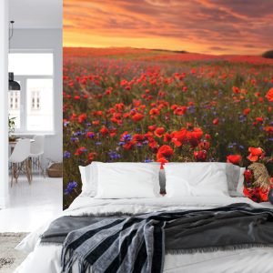 Papier Peint Champ De Coquelicots – Image 8