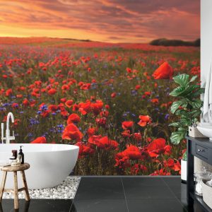 Papier Peint Champ De Coquelicots – Image 5