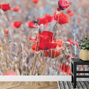 Papier Peint Coquelicots Meadow Vintage – Image 7