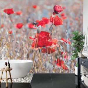 Papier Peint Coquelicots Meadow Vintage – Image 5
