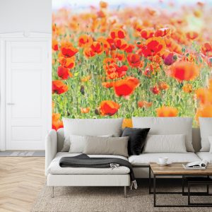 Papier Peint Champ De Coquelicots Rouges – Image 6