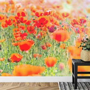 Papier Peint Champ De Coquelicots Rouges – Image 7