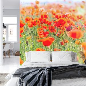 Papier Peint Champ De Coquelicots Rouges – Image 8