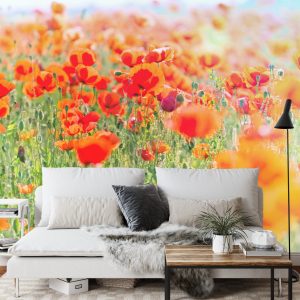 Papier Peint Champ De Coquelicots Rouges – Image 3