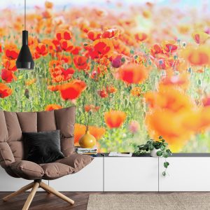Papier Peint Champ De Coquelicots Rouges – Image 4