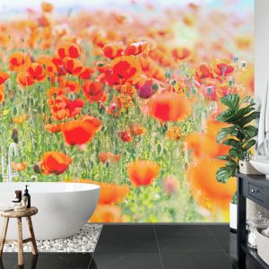 Papier Peint Champ De Coquelicots Rouges – Image 5