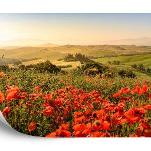 Papier Peint Champ De Coquelicots – Image 2