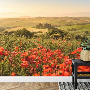 Papier Peint Champ De Coquelicots – Image 7