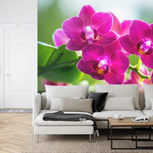 Papier Peint Garçon Herbes Nature – Image 6